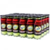 Penn Championship Extra Duty Tennis Balls (Case) -Tennis Equip Shop pchampxd 1 1000 1000