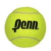 Penn Jumbo Tennis Ball 2 Penn Jumbo Tennis Ball -Tennis Equip Shop penn oversized tennis ball 1000 1000