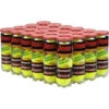Penn Championship Regular Duty Tennis Balls (Case) -Tennis Equip Shop pregcase 1000 1000